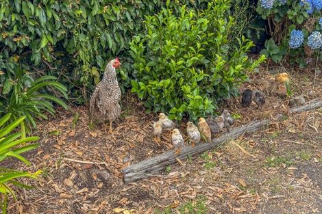 Photo of property in 347 Taniwha Road, Waerenga, Te Kauwhata, 3781