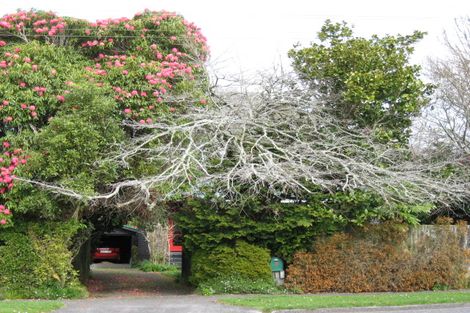 Photo of property in 41a Pembroke Road, Stratford, 4332