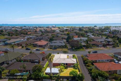 Photo of property in 202 Grenada Street, Mount Maunganui, 3116