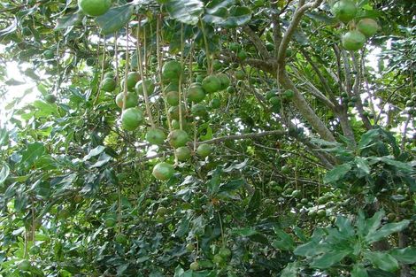 Photo of property in 882 South Head Road, South Head, Helensville, 0874