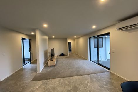 Photo of property in 53 Anaru Road, Lincoln, 7608