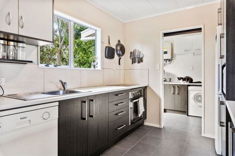 Photo of property in 58 Hindmarsh Street, Henderson, Auckland, 0612