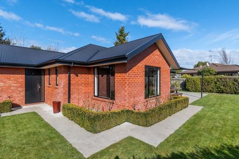 Photo of property in 1a Craigieburn Street, Darfield, 7510