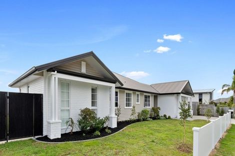 Photo of property in 24 Mervyn Place, Ohauiti, Tauranga, 3112