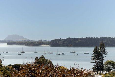 Photo of property in 17 Farnell Court, Omokoroa, 3114