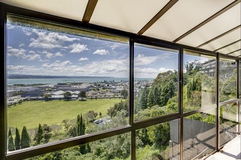 Photo of property in 28 Hospital Terrace, Hospital Hill, Napier, 4110