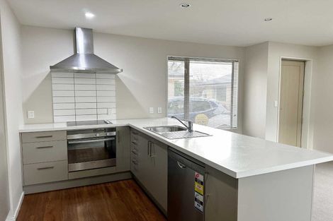 Photo of property in 42 Thackeray Place, Waltham, Christchurch, 8023