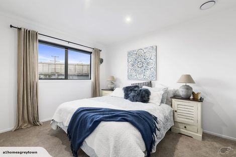 Photo of property in 1 Sam Meads Way, Greytown, 5712