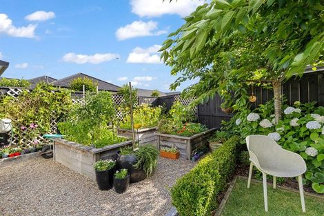 Photo of property in 45 Pinehurst Crescent, Morrinsville, 3300