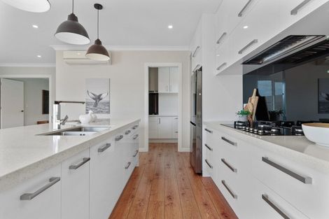 Photo of property in 14 Loftus Place, Flagstaff, Hamilton, 3210