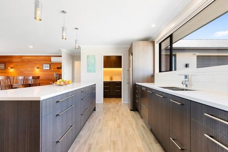 Photo of property in 58 Mchughes Road, Swannanoa, Kaiapoi, 7692