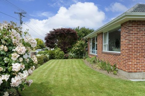 Photo of property in 19 Esperance Street, St Albans, Christchurch, 8052