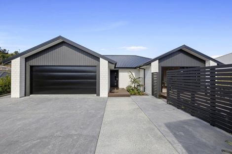 Photo of property in 35 Sycamore Grove, Lower Vogeltown, New Plymouth, 4310