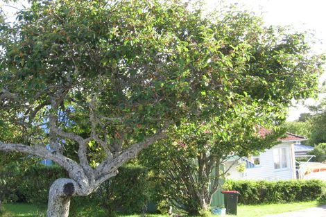 Photo of property in 2 Knight Avenue, Mount Albert, Auckland, 1025