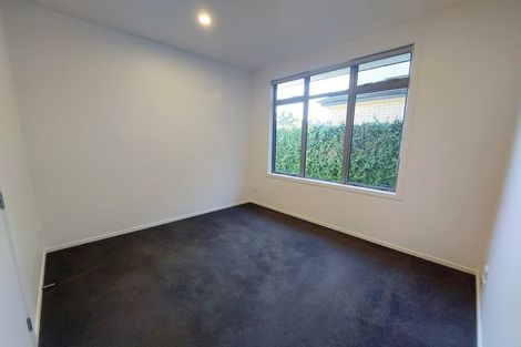Photo of property in 1/17 Manning Street, Hamilton Central, Hamilton, 3204