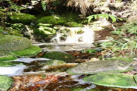 Photo of property in 4870 Karamea Highway, Karamea, 7893