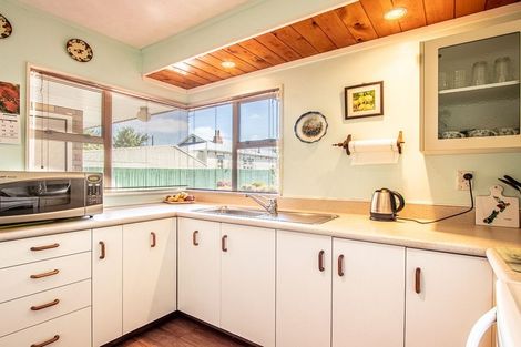 Photo of property in 16b Manchester Street, Levin, 5510