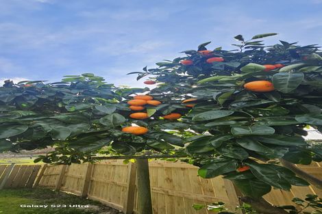 Photo of property in 9a Trigg Place, Bader, Hamilton, 3206