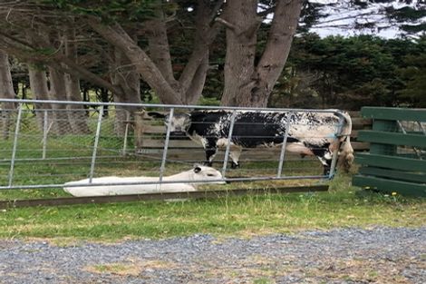 Photo of property in 332 Glenmohr Road, Waipu, 0582