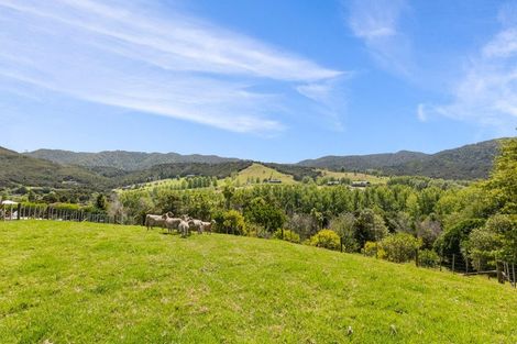 Photo of property in 402a King Road, Mangawhai, Kaiwaka, 0573