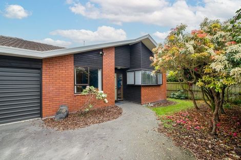 Photo of property in 297b Ashgrove Terrace, Somerfield, Christchurch, 8024