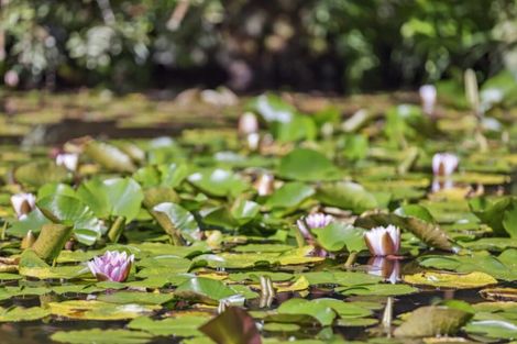 Photo of property in 586 Tapu Coroglen Road, Coromandel Forest Park, Thames, 3575