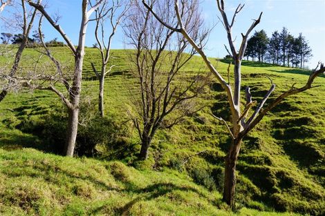 Photo of property in 1658 Ruapekapeka Road, Kawakawa, 0182
