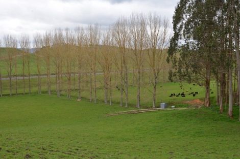 Photo of property in 80 State Highway 3, Piopio, 3970