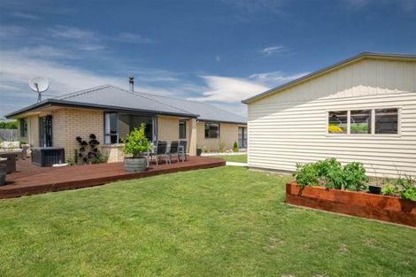 Photo of property in 15 Temple Mews, Renwick, 7204