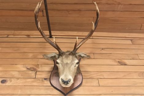 Photo of property in 2568 Lake Brunner Road, Inchbonnie, Kumara, 7875