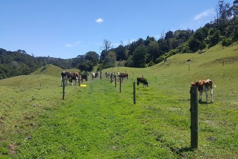 Photo of property in 34 Cemetery Road, Pollok, 2684
