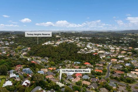 Photo of property in 13 Phoebe Meikle Place, Torbay, Auckland, 0630
