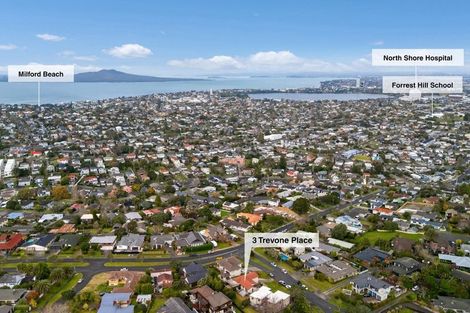 Photo of property in 3 Trevone Place, Forrest Hill, Auckland, 0620
