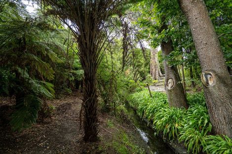 Photo of property in 36 Hawford Road, Opawa, Christchurch, 8023