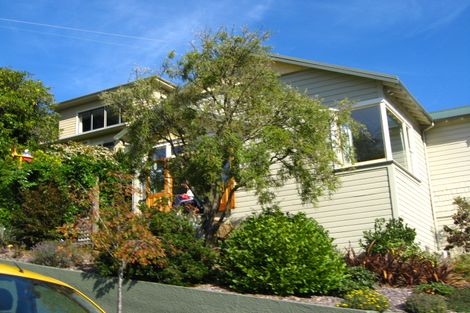 Photo of property in 22 Birchfield Avenue, North East Valley, Dunedin, 9010