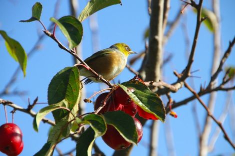 Photo of property in 1204k State Highway 3, Kai Iwi, Whanganui, 4574
