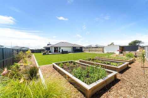 Photo of property in 19 George Street, Bulls, 4818