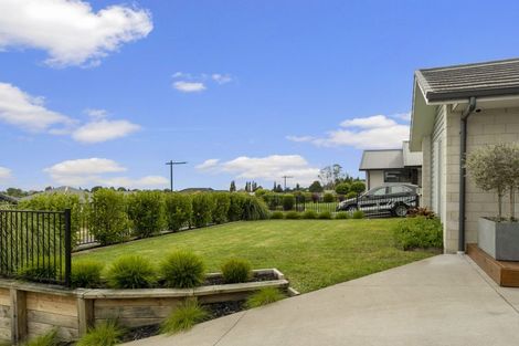 Photo of property in 41 Hass Drive, Ohauiti, Tauranga, 3112