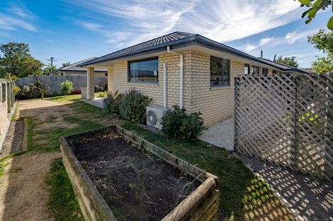 Photo of property in 19a Linton Street, Mayfield, Blenheim, 7201