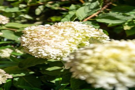 Photo of property in 21a Bryce Street, Cambridge, 3434