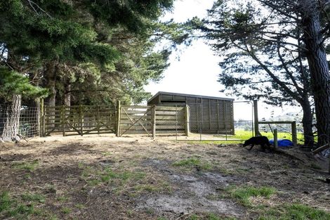 Photo of property in 42 Falcon Street, Palmerston, 9430