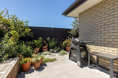 Photo of property in 19c Walpole Street, Waltham, Christchurch, 8023