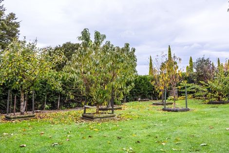 Photo of property in 74 Charles Street, Carterton, 5713