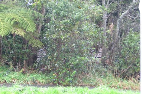 Photo of property in 218 Woodlands Park Road, Titirangi, Auckland, 0604