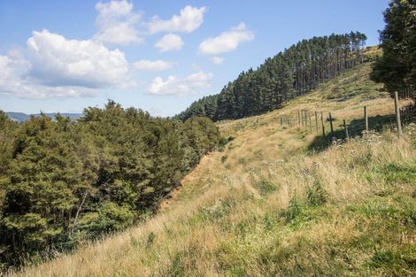 Photo of property in 36a Orchard Road, Waiake, Auckland, 0630