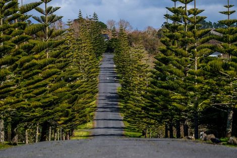 Photo of property in 167 Lennon Access Road, Stillwater, Silverdale, 0993