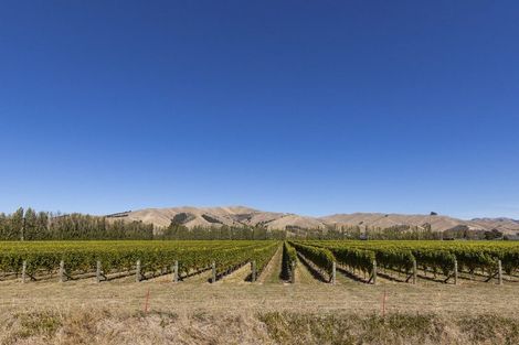 Photo of property in 14 Tavera Street, Blenheim, 7201