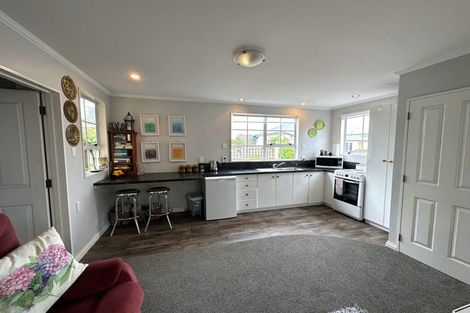 Photo of property in 103a Bannister Street, Masterton, 5810