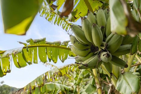 Photo of property in 149 Ringawhati Road, Otaki, 5583