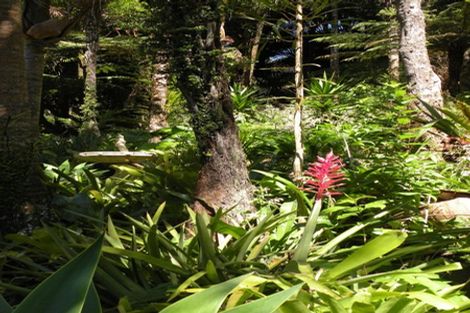 Photo of property in 10-12 Glenesk Road, Piha, New Lynn, 0772